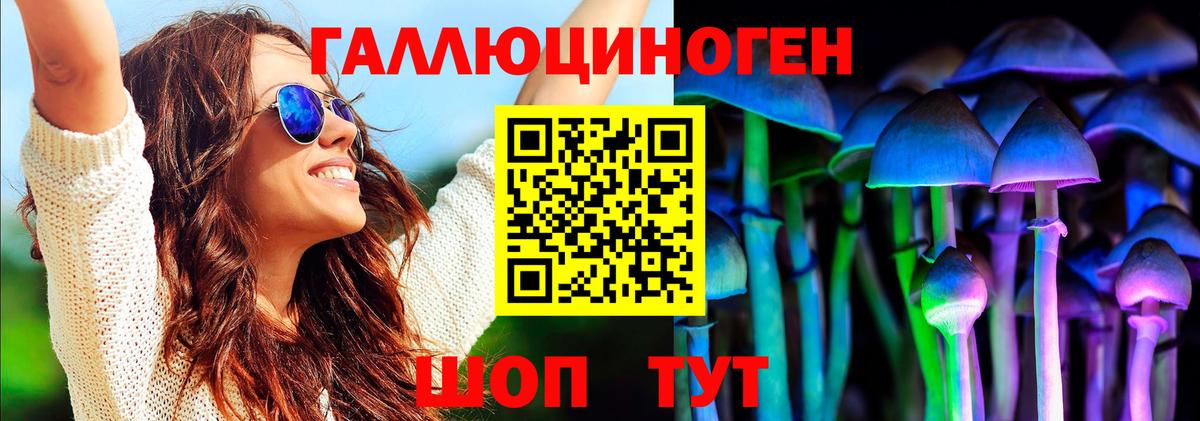 Камышлов  Гашиш  Амфетамин   Вход с VPN  Альфа ПВП СК кристаллы  МЕФ  