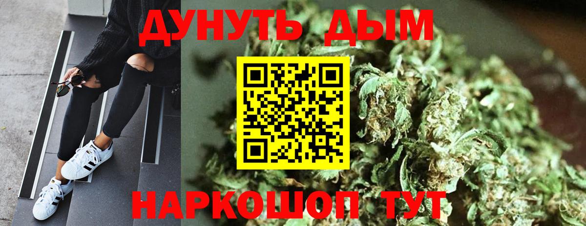 Канабис план  Бошки марихуана THC 21%  Конопля тримм  Вход с VPN  Камышлов 